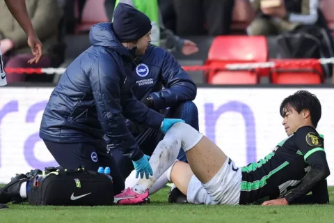 Mitoma Injury Update: Brighton Forward Ruled Out for the Remainder of the Season